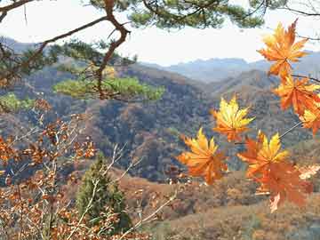 俄羅斯國(guó)際軍事比賽最新動(dòng)態(tài)，最佳實(shí)踐策略實(shí)施進(jìn)展報(bào)告