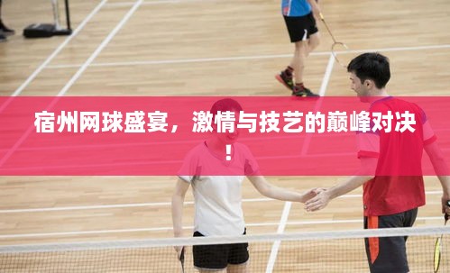 宿州網(wǎng)球盛宴，激情與技藝的巔峰對(duì)決！