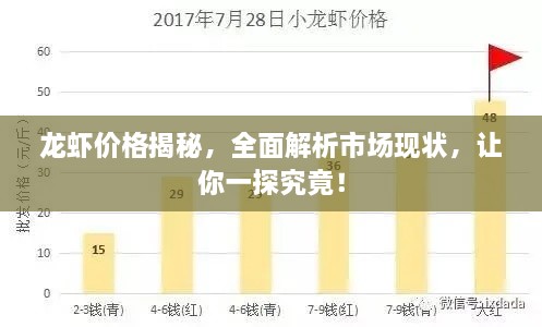 龍蝦價(jià)格揭秘，全面解析市場(chǎng)現(xiàn)狀，讓你一探究竟！