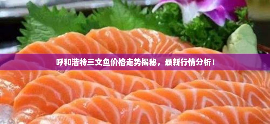呼和浩特三文魚價格走勢揭秘，最新行情分析！