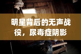 明星背后的無(wú)聲戰(zhàn)役，尿毒癥陰影下的星光挑戰(zhàn)