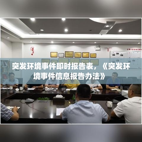 突發(fā)環(huán)境事件即時報告表，《突發(fā)環(huán)境事件信息報告辦法》 