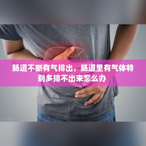 腸道不斷有氣排出，腸道里有氣體特別多排不出來怎么辦 