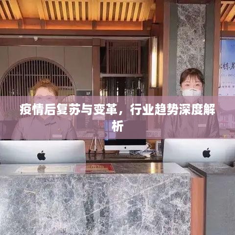 疫情后復蘇與變革，行業(yè)趨勢深度解析