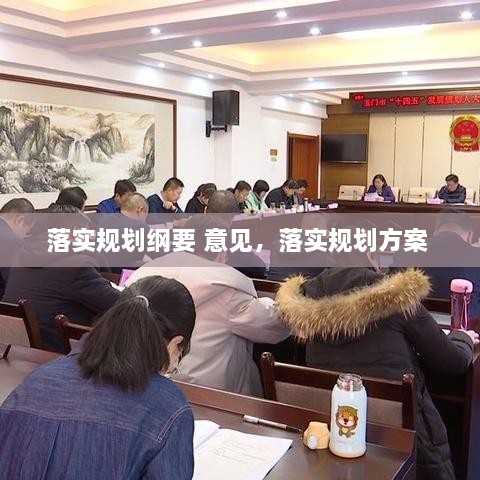 落實規(guī)劃綱要 意見，落實規(guī)劃方案 