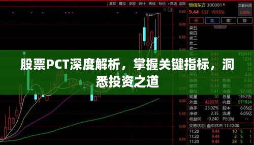 股票PCT深度解析，掌握關鍵指標，洞悉投資之道