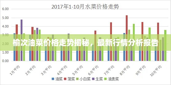 榆次油菜價(jià)格走勢揭秘，最新行情分析報(bào)告
