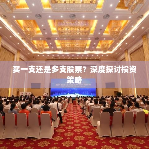 買(mǎi)一支還是多支股票？深度探討投資策略