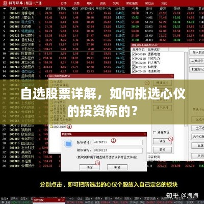 自選股票詳解，如何挑選心儀的投資標的？