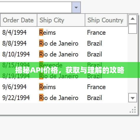 揭秘API價格，獲取與理解的攻略