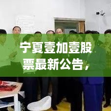 寧夏壹加壹股票最新公告，重磅消息揭秘，投資者不容錯(cuò)過！