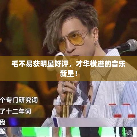 毛不易獲明星好評，才華橫溢的音樂新星！