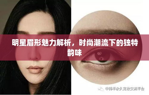 明星眉形魅力解析，時(shí)尚潮流下的獨(dú)特韻味