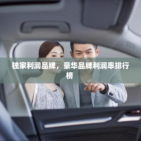 獨家利潤品牌，豪華品牌利潤率排行榜 
