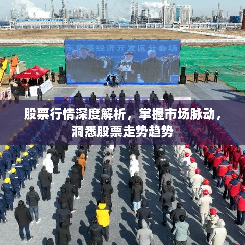 股票行情深度解析，掌握市場脈動，洞悉股票走勢趨勢