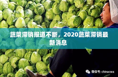蔬菜滯銷報(bào)道不斷，2020蔬菜滯銷最新消息 