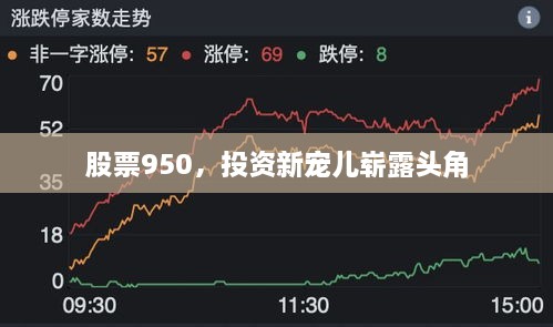 股票950，投資新寵兒嶄露頭角