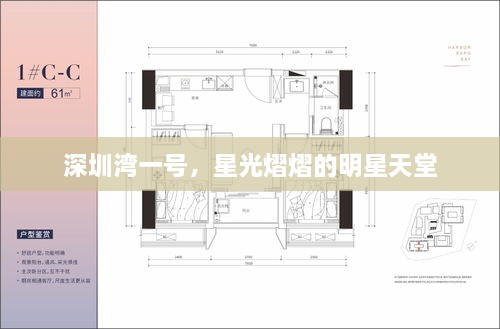 深圳灣一號(hào)，星光熠熠的明星天堂