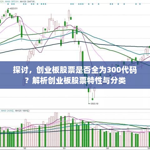 探討，創(chuàng)業(yè)板股票是否全為300代碼？解析創(chuàng)業(yè)板股票特性與分類