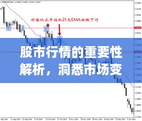 股市行情的重要性解析，洞悉市場變化的關(guān)鍵所在！