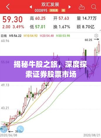 揭秘牛股之旅，深度探索證券股票市場
