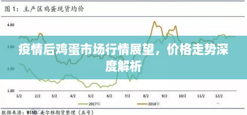 疫情后雞蛋市場行情展望，價(jià)格走勢深度解析