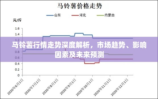 馬鈴薯行情走勢深度解析，市場趨勢、影響因素及未來預(yù)測