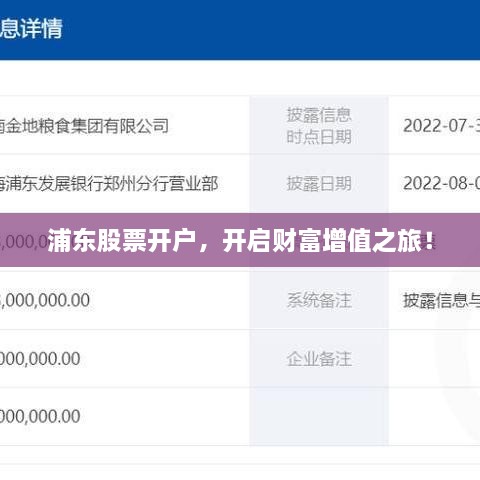 浦東股票開戶，開啟財富增值之旅！