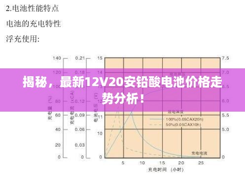 揭秘，最新12V20安鉛酸電池價(jià)格走勢分析！