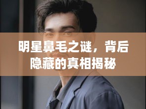 明星鼻毛之謎，背后隱藏的真相揭秘