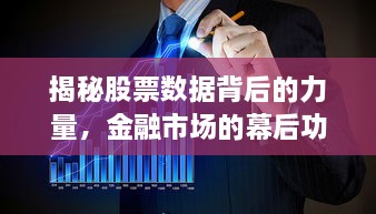 揭秘股票數(shù)據(jù)背后的力量，金融市場(chǎng)的幕后功臣