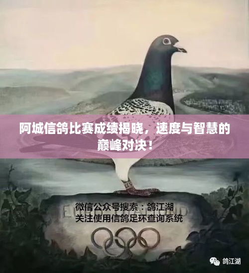 阿城信鴿比賽成績揭曉，速度與智慧的巔峰對決！