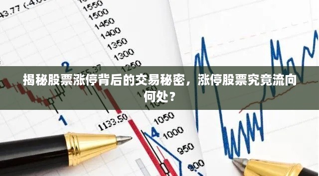 揭秘股票漲停背后的交易秘密，漲停股票究竟流向何處？
