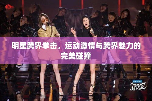 明星跨界拳擊，運(yùn)動激情與跨界魅力的完美碰撞