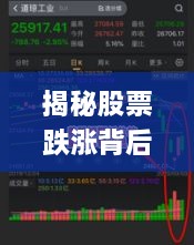 揭秘股票跌漲背后的風(fēng)險(xiǎn)與策略，如何巧妙應(yīng)對(duì)股市波動(dòng)？