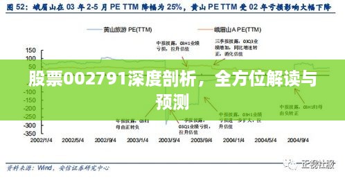 股票002791深度剖析，全方位解讀與預(yù)測