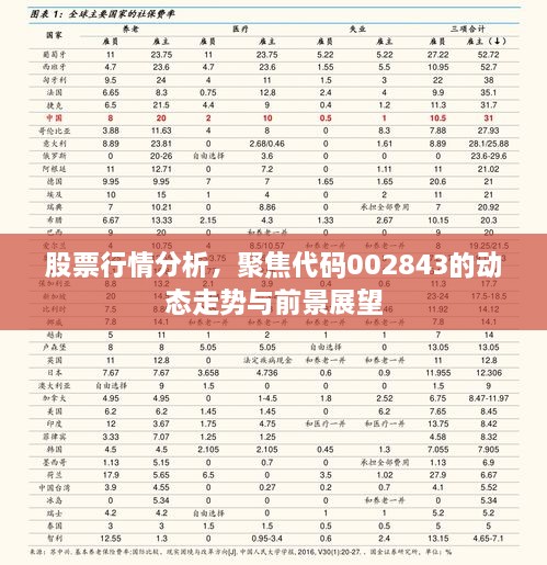 股票行情分析，聚焦代碼002843的動(dòng)態(tài)走勢(shì)與前景展望