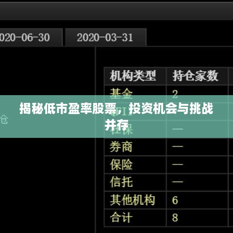 揭秘低市盈率股票，投資機(jī)會與挑戰(zhàn)并存