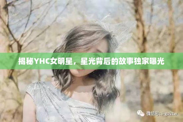 揭秘YHC女明星，星光背后的故事獨(dú)家曝光
