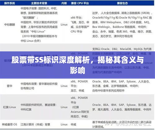 股票帶SS標識深度解析，揭秘其含義與影響