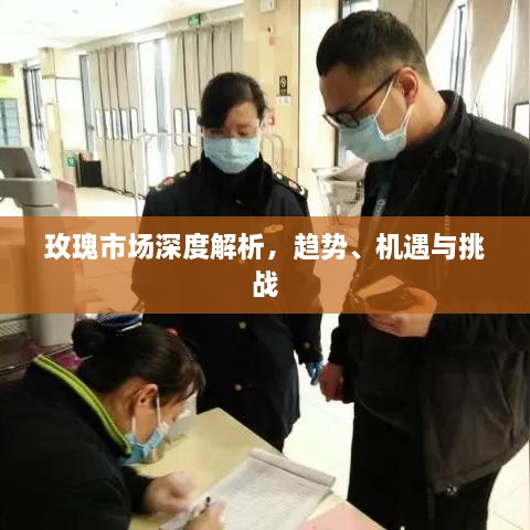玫瑰市場深度解析，趨勢、機遇與挑戰(zhàn)