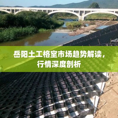 走馬觀花 第2頁