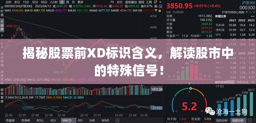 揭秘股票前XD標(biāo)識(shí)含義，解讀股市中的特殊信號(hào)！