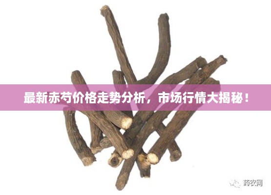 最新赤芍價(jià)格走勢(shì)分析，市場(chǎng)行情大揭秘！