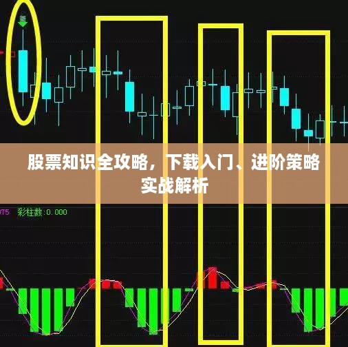 股票知識全攻略，下載入門、進(jìn)階策略實戰(zhàn)解析