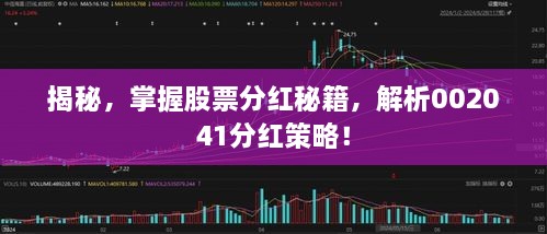 揭秘，掌握股票分紅秘籍，解析002041分紅策略！