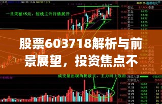 股票603718解析與前景展望，投資焦點(diǎn)不容錯過