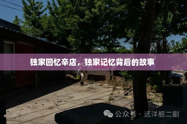 獨家回憶辛店，獨家記憶背后的故事 