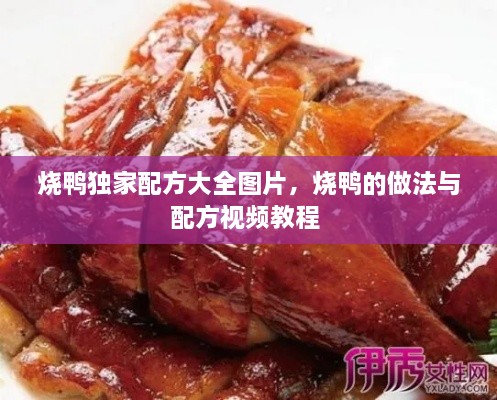 燒鴨獨(dú)家配方大全圖片，燒鴨的做法與配方視頻教程 