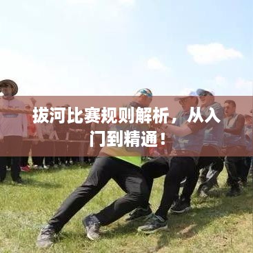 拔河比賽規(guī)則解析，從入門到精通！